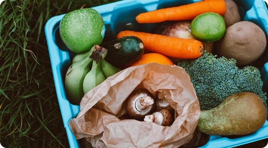 Spécialiste en micronutrition à Genève