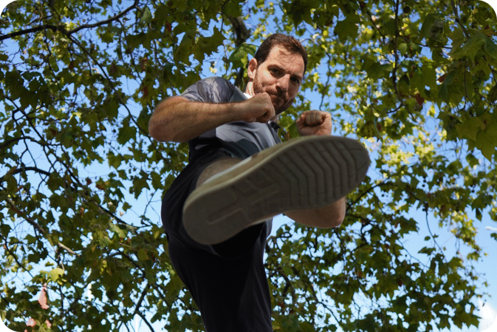 L'approche intégrative